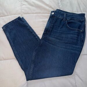 NWOT Lee Women's Skinny Jeans Size 20 Petite